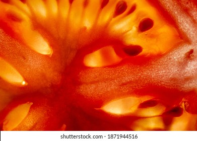 Berry food. Sliced love apple. The tomato is an edible, often red, berry of the plant Solanum lycopersicum, commonly known as the tomato plant. The species occurred in western South America. - Powered by Shutterstock
