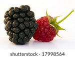 Berry fruit with stem and leaves