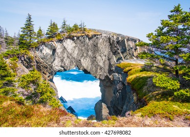 Berry Head Arch