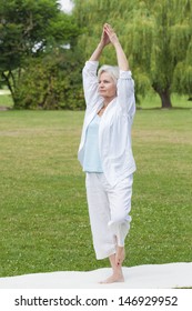 Best Ager Women Practicing Yoga And Tai Chi Outdoors