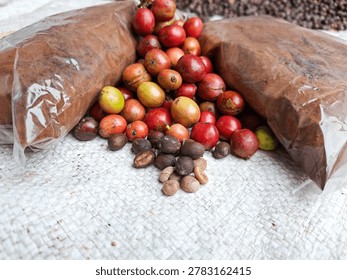 Best angle shot of coffee processing cycle from raw harvested berries to processed ground coffee on a white woven sack