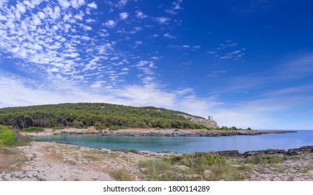 The Best Beach In Apulia: Porto Selvaggio Beach. Salento Coast: View Of The Regional Natural Park Porto Selvaggio And Palude Del Capitano In Puglia (Italy)  With Rocky Coast And Mediterranean Scrub. 