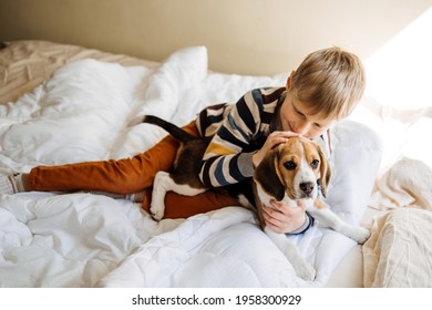 Best Dog Breeds For Kids, Good Family Dogs. Introducing Puppies And Children. Cute Little Beagle Puppy And Kid Boy Playing In Bed At Home