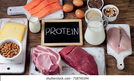 Best Foods High In Protein. Healthy Food And Diet Concept 