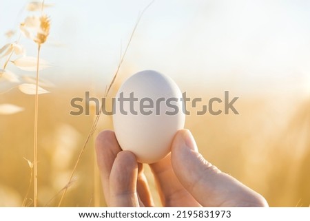 The best fresh, natural and organic free-range chicken egg in the world. Free-range eggs in the hands of farmers. Brown chicken egg from free-range chickens. hand holding egg in nature background 