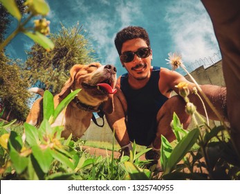 Best Friend Beagle Dog And Man Walking In The Park