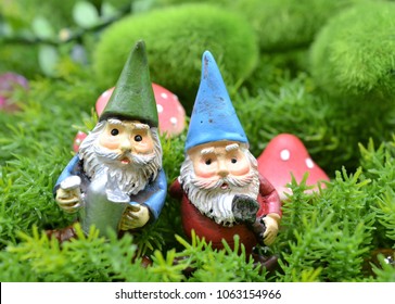 Best friends elderly men fairy garden gnomes in enchanted forest with green moss and mushrooms 