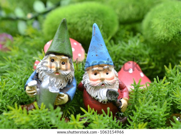 Best friends elderly men fairy
garden gnomes in enchanted forest with green moss and mushrooms
