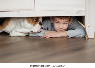 Best Friends English French American Bull Dog And Cute Child Handsome Boy Sitting Under Bed And Looking On Each Other On Warm Floor Parquet Wood Block.Red White Adorable Dog And Awesome Teenager. 2017