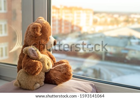 Best friends teddy bear and bunny toy sitting on window sill hugging each other and looking out of windows, sunlight, sunny day. Side view. Love, family and friendship concept. stay at home, safe.