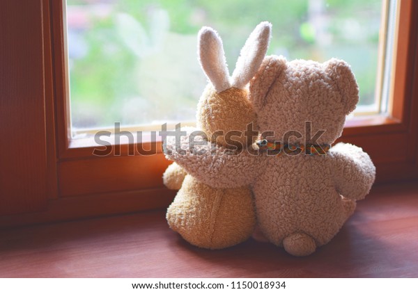 teddy bear bunny