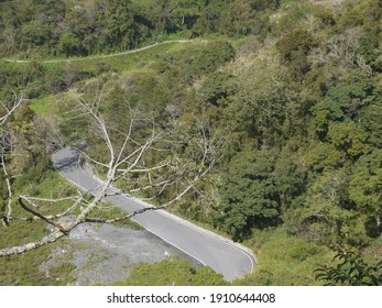 The Best of Highway 20: Curved Road in Motian （南橫摩天彎路）