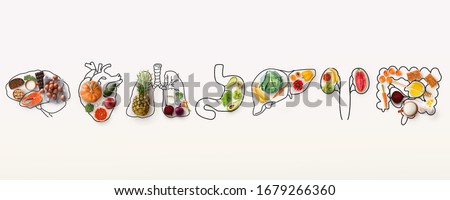 Best menu for healthy body. Collage with outlines of human internal organs and wholesome foods on white background, panorama