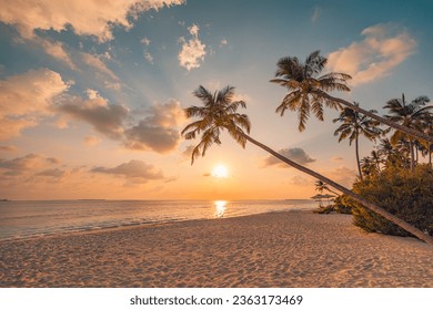 Best most exotic travel landscape. Majestic sunset beach. Coconut palm tree silhouettes, fantastic colorful sky clouds. Closeup waves sand. Stunning tropical nature scene, panoramic island paradise