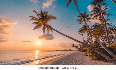 Best most exotic travel landscape. Majestic sunset beach. Coconut palm tree silhouettes, fantastic colorful sky clouds. Closeup waves sand. Stunning tropical nature scene, panoramic island paradise - Powered by Shutterstock