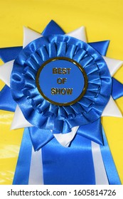 Best Of Show Ribbon At A County Fair