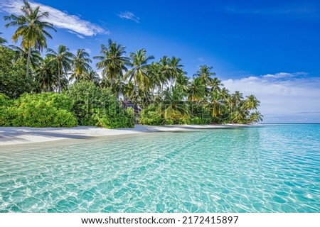 Best tropical beach landscape. Fantastic summer coast, vacation destination, palm trees, white sand, sunny sky. Freedom travel, amazing sea lagoon, paradise shore nature landscape. Beautiful beach