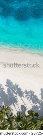 Best wide aerial beach landscape. Popular destination amazing panorama. Calm waves crash tropical exotic paradise island coast. Top drone view, palm tree shadows, sunshine vacation. Majestic nature