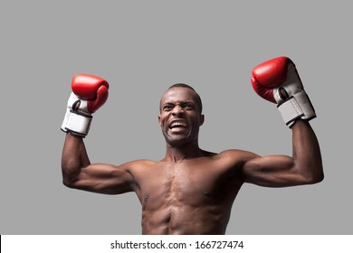 I am the best! Young African boxer raising his hands up and grimacing while standing isolated on grey