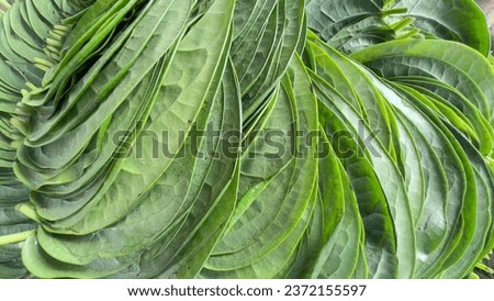 Betel leaves, known as 