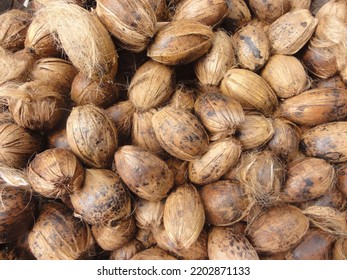 Betel Nut Ready For Market