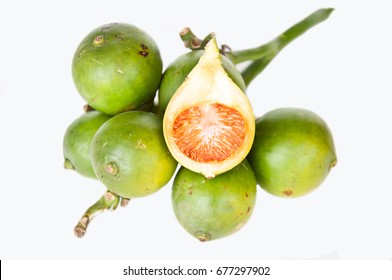 Betel Palm On White Background