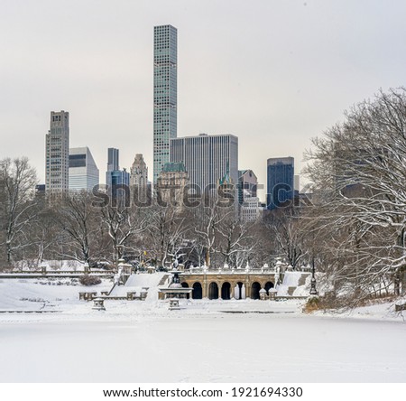Similar – Image, Stock Photo in central park