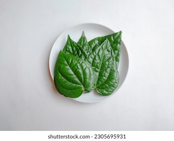 Betle leaf ( Daun Sirih ) has many properties such as antibacterial, anti-mutagenic, antioxidant, and anti-proliferative
