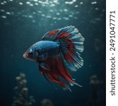 Betta fish, also known as Siamese fighting fish, are vibrant and colorful freshwater fish native to Southeast Asia. Known for their stunning fin displays and aggressive behavior, they come in a variet