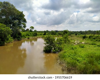 Betwa River In Lucknow Near Rahmankheda Forest