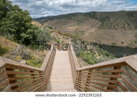 Between mountains, the Côa Walkways, a wooden structure with a length of 930 meters and 890 steps, with the Douro River in the background in Foz Côa, Portugal on a cloudy day