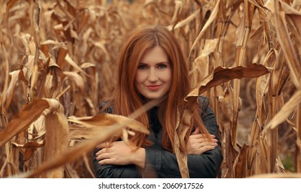 
Between The Rows Of Dry Corn Is A Girl With Red Hair