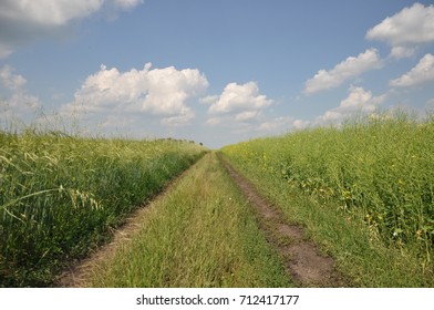 between two fields