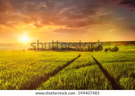 Beuatiful sunset in fields of Moravia, Czech Republic. With light leak and lens flare
