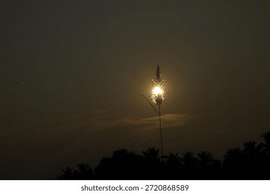 a beutiful image of sunset 