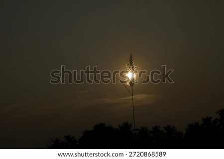 a beutiful image of sunset 