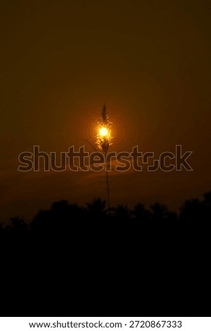 a  beutiful view of sunset 