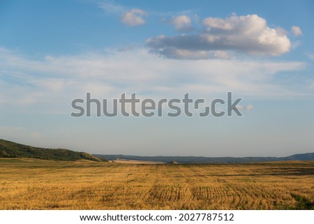 Beveled yellow field and clouds.