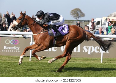 BEVERLEY RACECOURSE, EAST YORKSHIRE, UK : 21 April 2022 : Love Your Work Ridden By Phil Dennis Winning A 1m 1f Handicap Race At Beverley Races