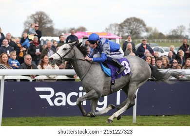 BEVERLEY RACECOURSE, EAST YORKSHIRE, UK : 13 April 2022 : The Grey Gelding Haunted Dream Ridden By Daniel Muscutt Winning A Handicap Race Over 1m 1f At Beverley Races 