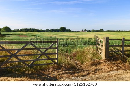Beverley, Yorkshire, UK. Open farm gate leading into agricultural landscape with grain crop ripening in summer in Beverley, Yorkshire, UK.