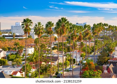 Beverly Hills, California, USA Rooftop Skyline View With Focus On Palm Trees.