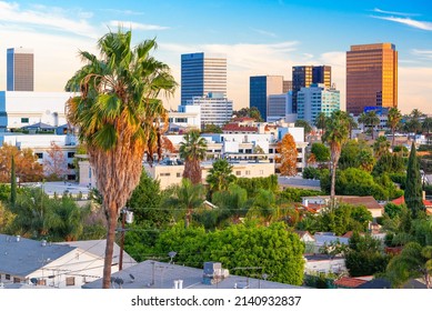 Beverly Hills, California, USA Rooftop Skyline View With Focus On Palm Trees.