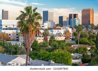 Beverly Hills, California, USA Rooftop Skyline View With Focus On Palm Trees.