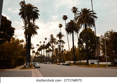 Beverly Hills With Palm Trees At Sunset In Los Angeles