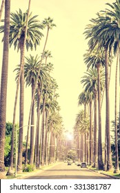 Beverly Hills street with palm trees at sunset, Los Angeles