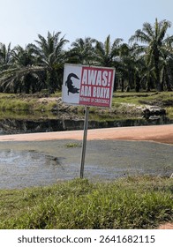 a beware of crocodile sign on a oil palm plantation.