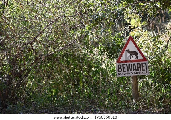 Beware of the dangerous animals. A constant reminder\
when you leave your car that you are n the wild and these animals\
are not friendly. 