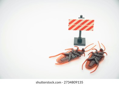 Beware of Dead Roach Carcass to Avoid Bacteria and Pathogen Spread in the Home