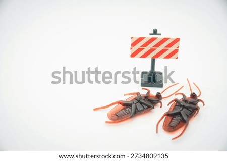 Beware of Dead Roach Carcass to Avoid Bacteria and Pathogen Spread in the Home